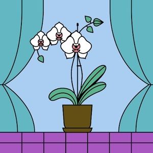 Meet your Posher, Lindsay